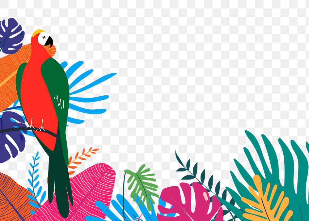 Parrot botanical png border clip art, tropical graphic element on transparent background 