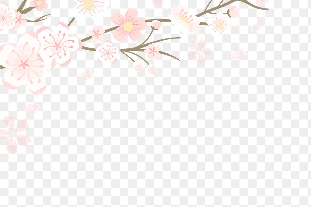 Png Japanese cherry blossom transparent background Hanami festival