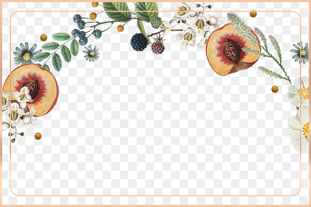 Peach and flower png border Premium PNG rawpixel