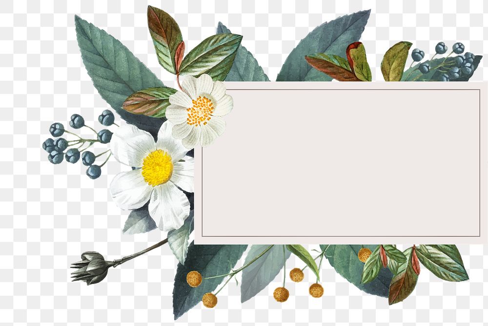 Vintage flower frame png hand drawn botanical illustration