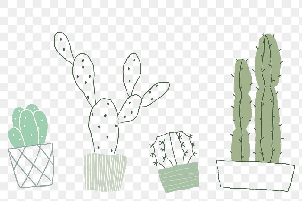 Houseplant cactus png background in simple doodle style