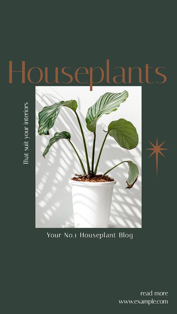 Houseplant Instagram story template, editable design