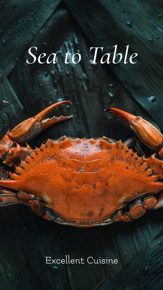 Seafood restaurant Instagram story template, promotional ad