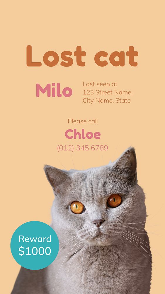 Lost cat Instagram story template, editable text