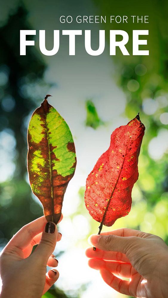 Environment template, Instagram story with hands holding leaves