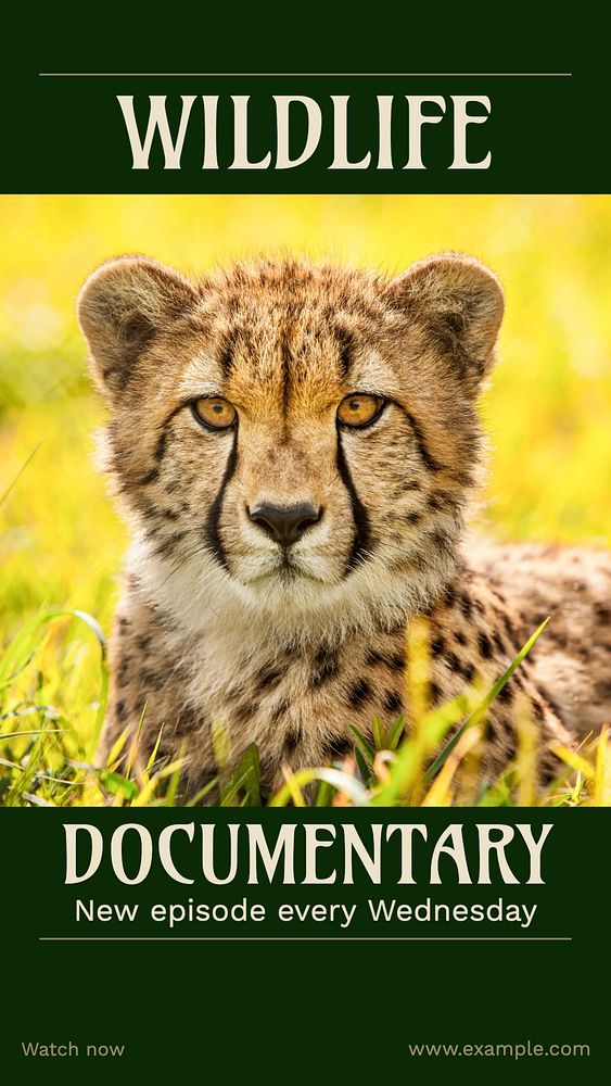 Wildlife documentary Instagram story, editable social media design