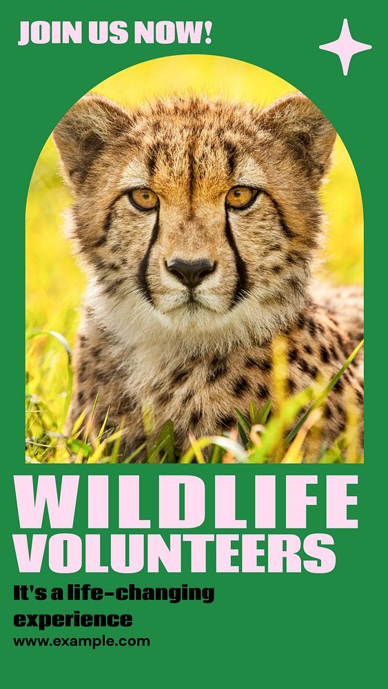 Wildlife volunteers Instagram story, editable social media design