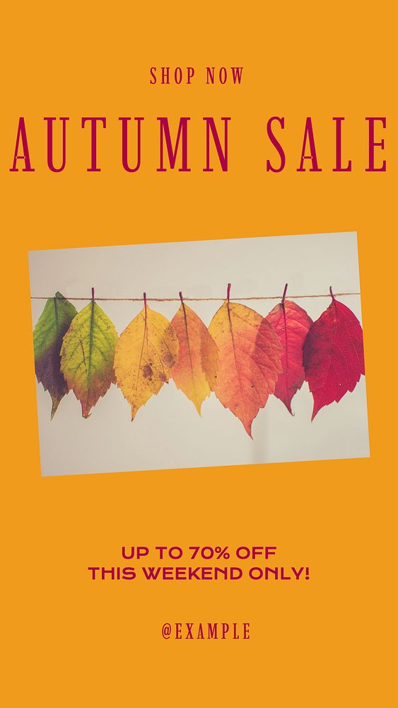 Autumn sale Instagram story, editable social media design