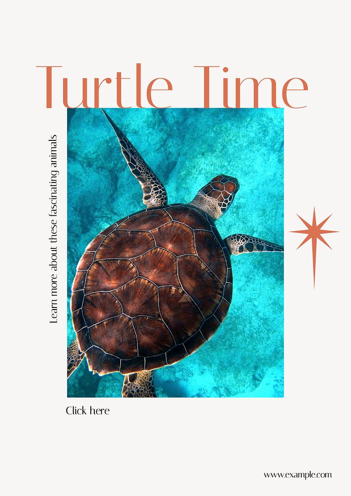 Turtles poster template, editable text & design