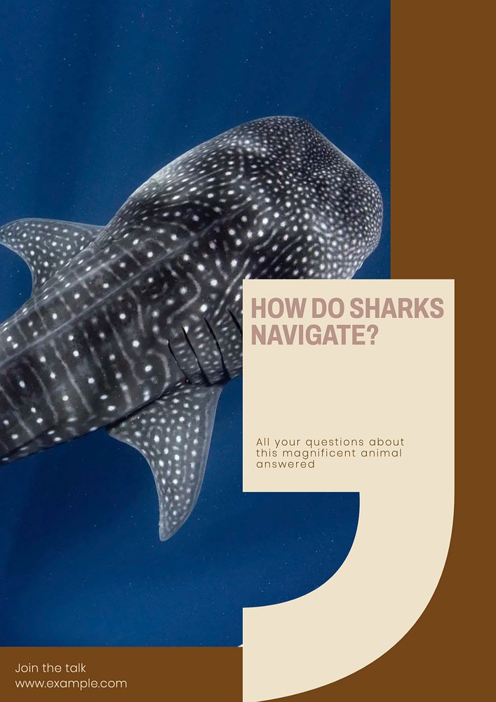 Questions about sharks editable poster template