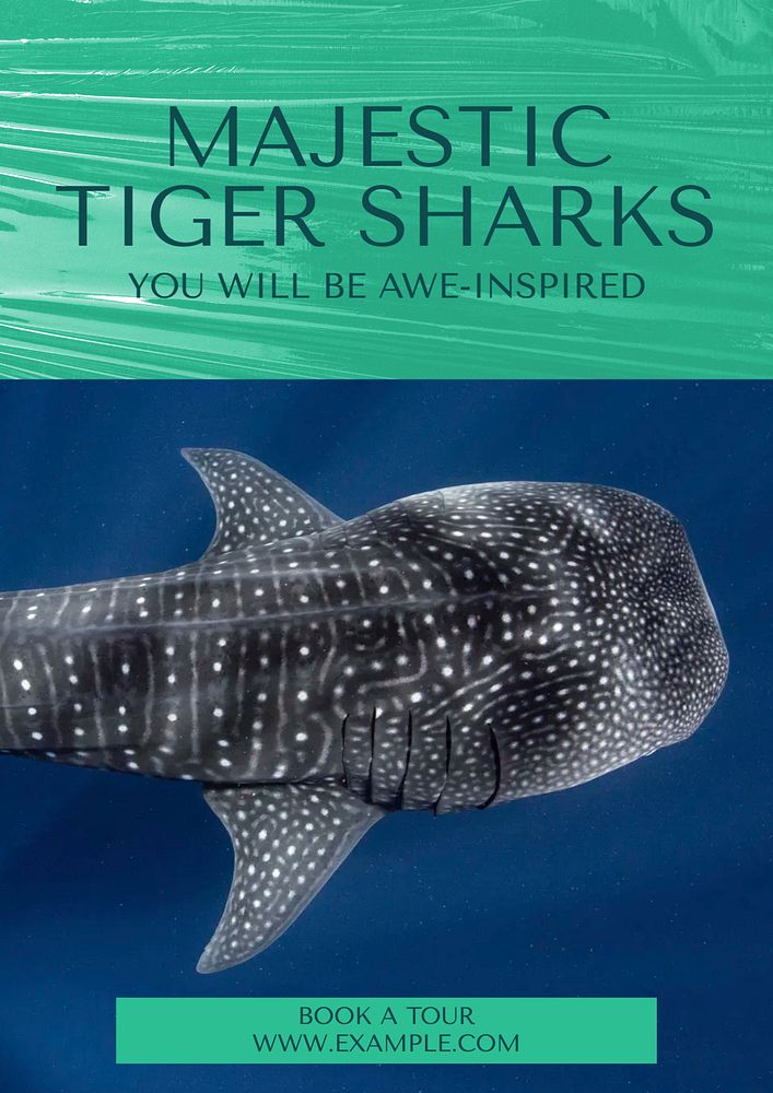 Tiger sharks editable poster template