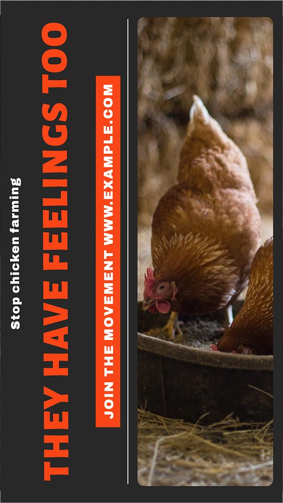 Chicken farming story template, editable social media design