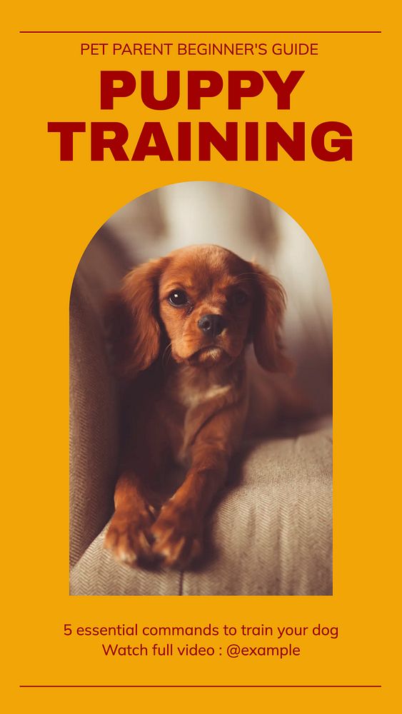 Dog training story template, editable social media design