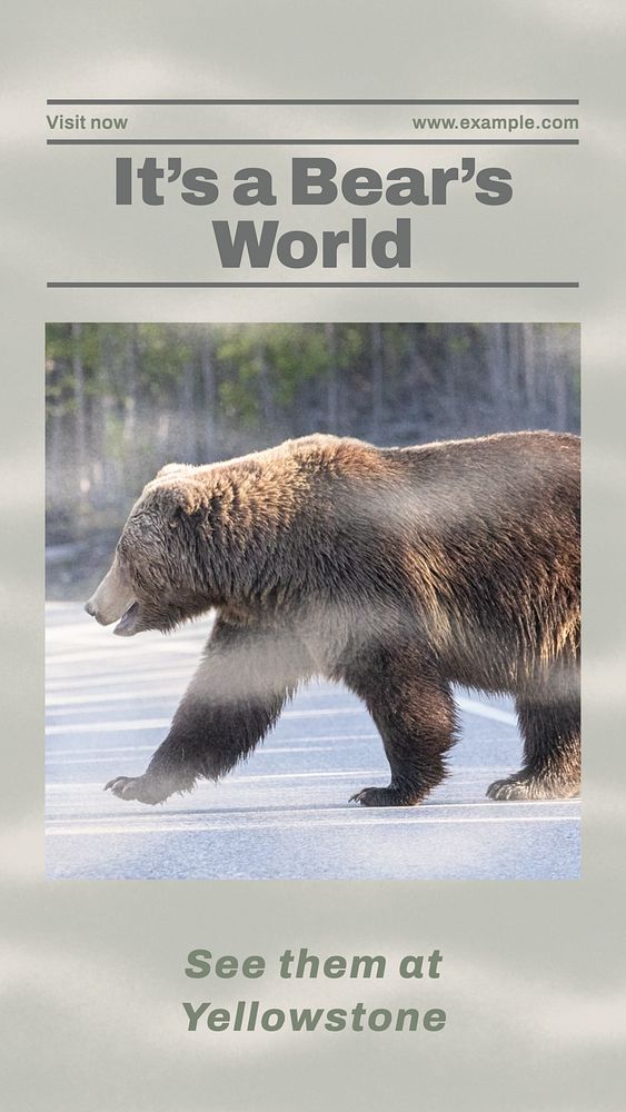 Bears at Yellowstone story template, editable social media design