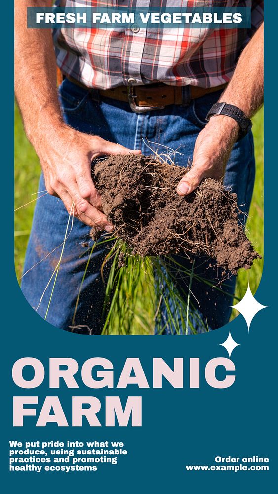 Organic farm story template, editable social media design