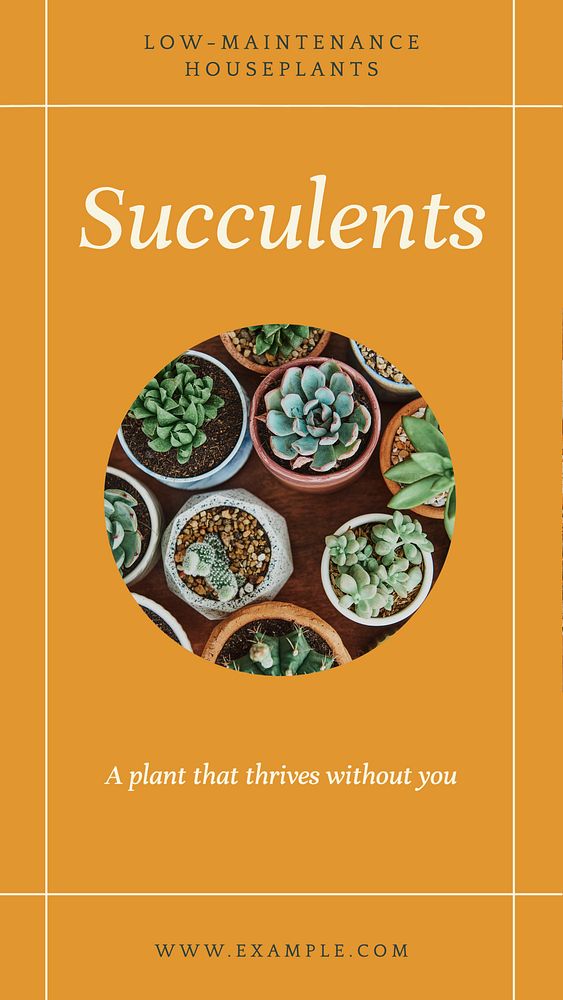 Succulents social story template, editable text