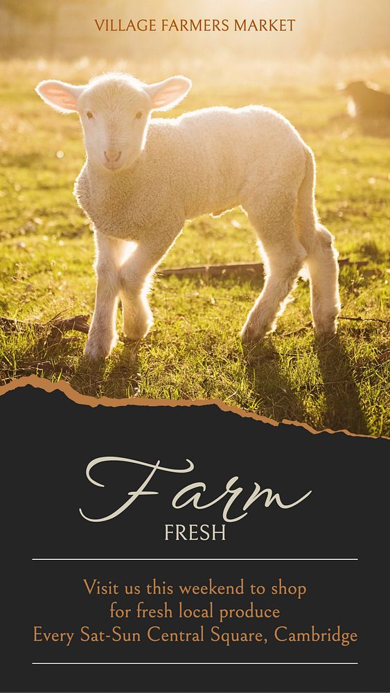 Farm fresh social story template, editable text