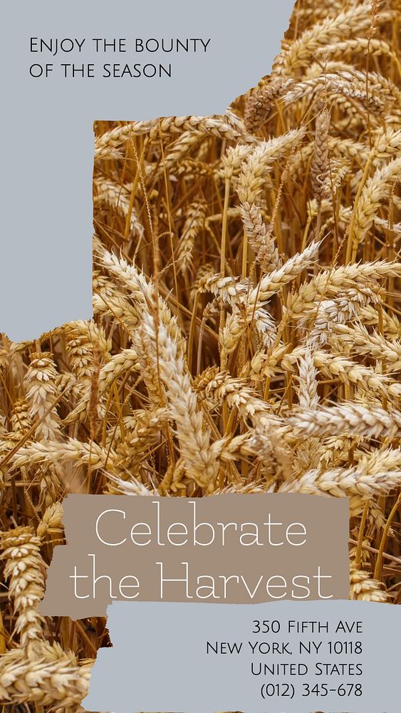 Celebrate the harvest social story template, editable Instagram design