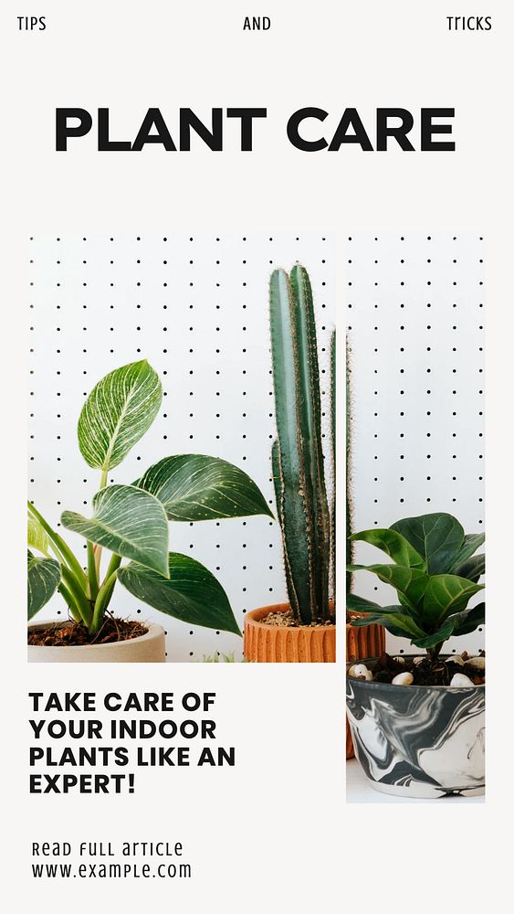 Plant care tips social story template, editable Instagram design