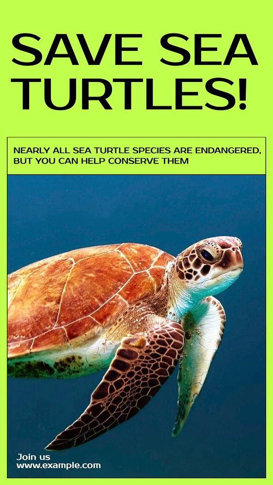 Save sea turtles social story template, editable Instagram design