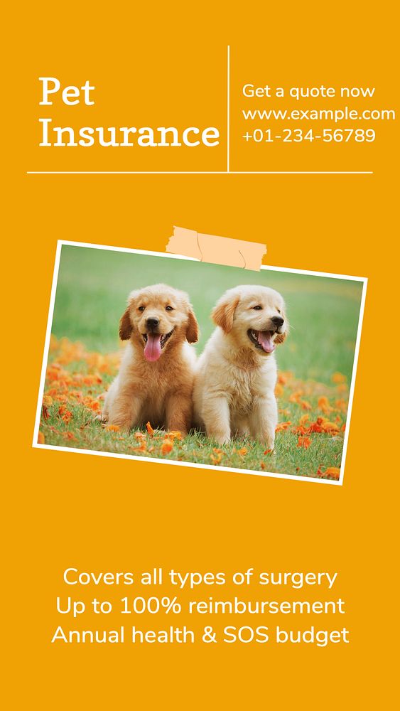 Pet insurance social story template, editable Instagram design