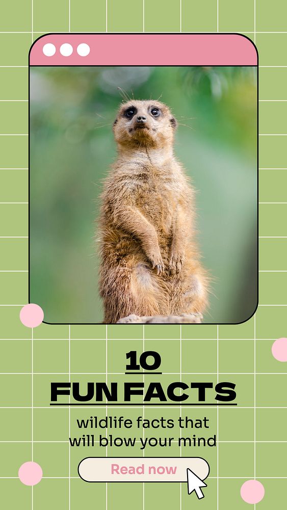 Fun facts social story template, editable Instagram design