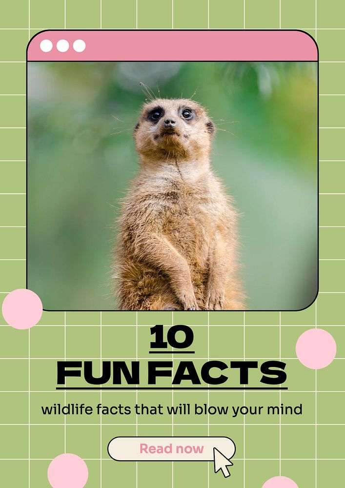 Fun facts poster template, editable text & design