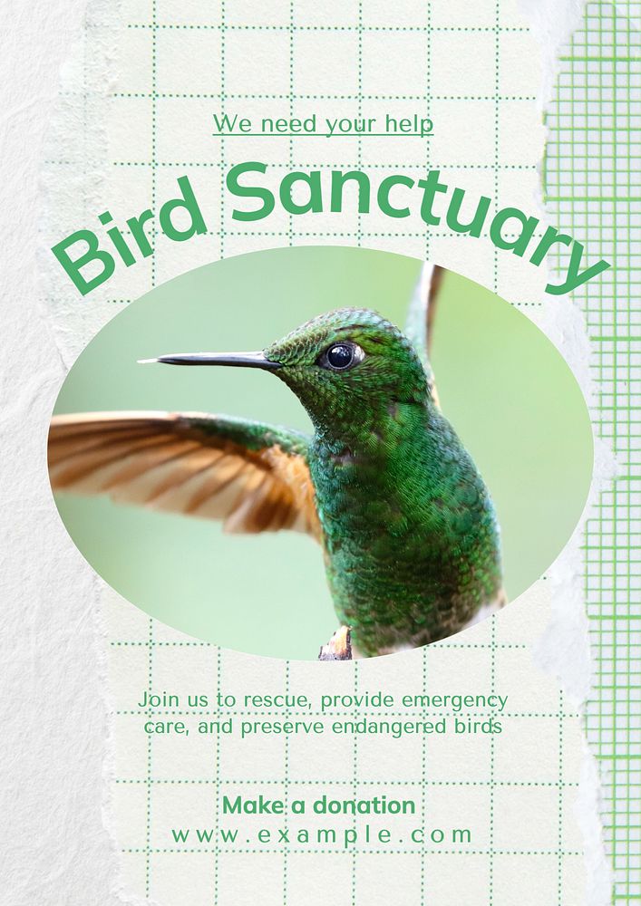 Bird sanctuary  poster template, editable text & design