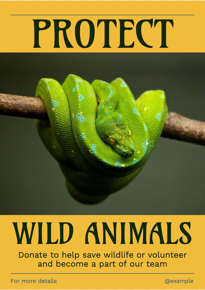 Protect wild animals poster template, editable text and design