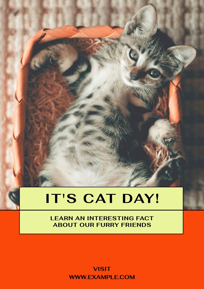 Cat day poster template, editable text & design