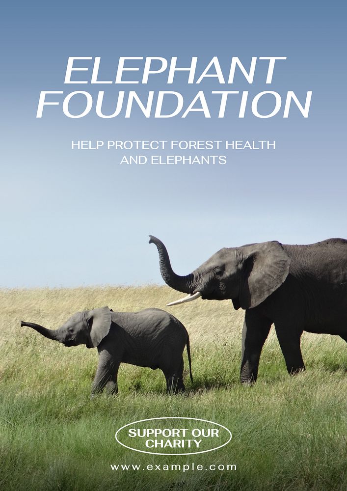 Elephant foundation poster template, editable text and design