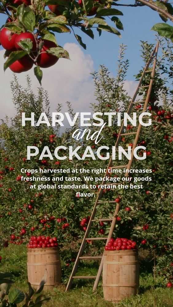Fruit harvest Instagram story template, smart farming design