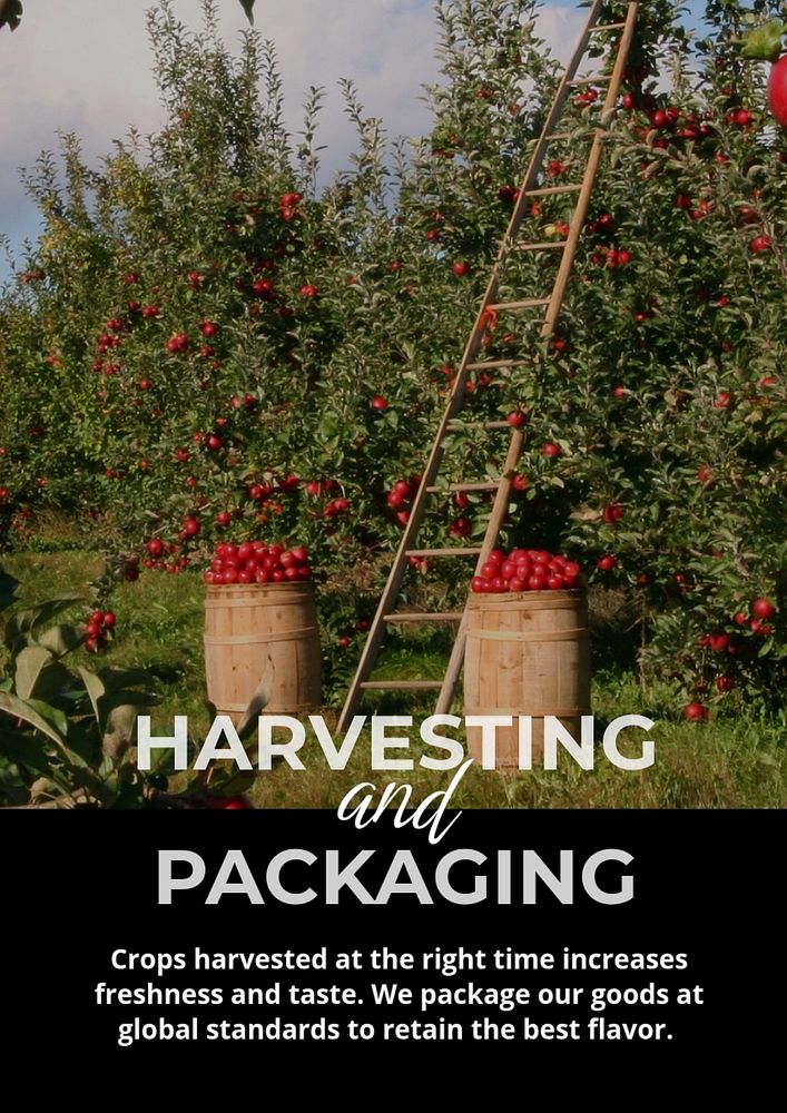 Fruit harvest poster template, smart farming design
