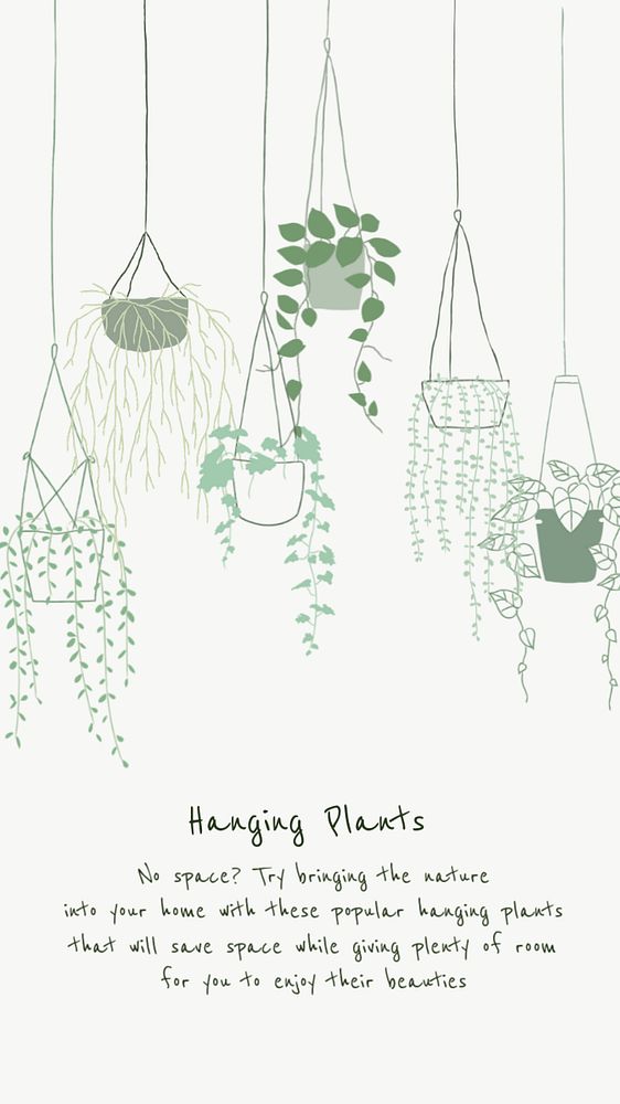 Hanging plants Facebook story template, editable design