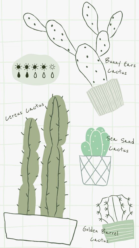 Cactus care Facebook story template, editable design