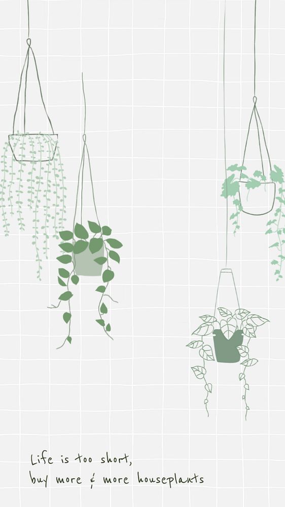 Plant quote Facebook story template, editable design