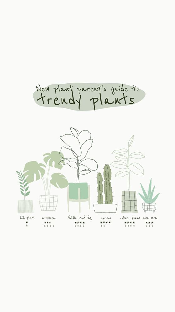 Trendy houseplants Facebook story template, editable design