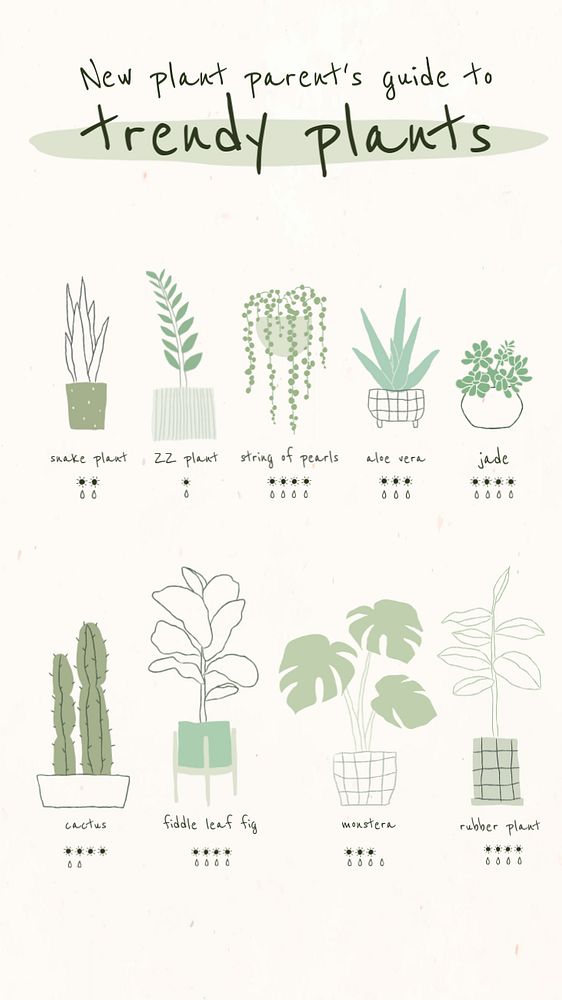 Trendy houseplants Facebook story template, editable design