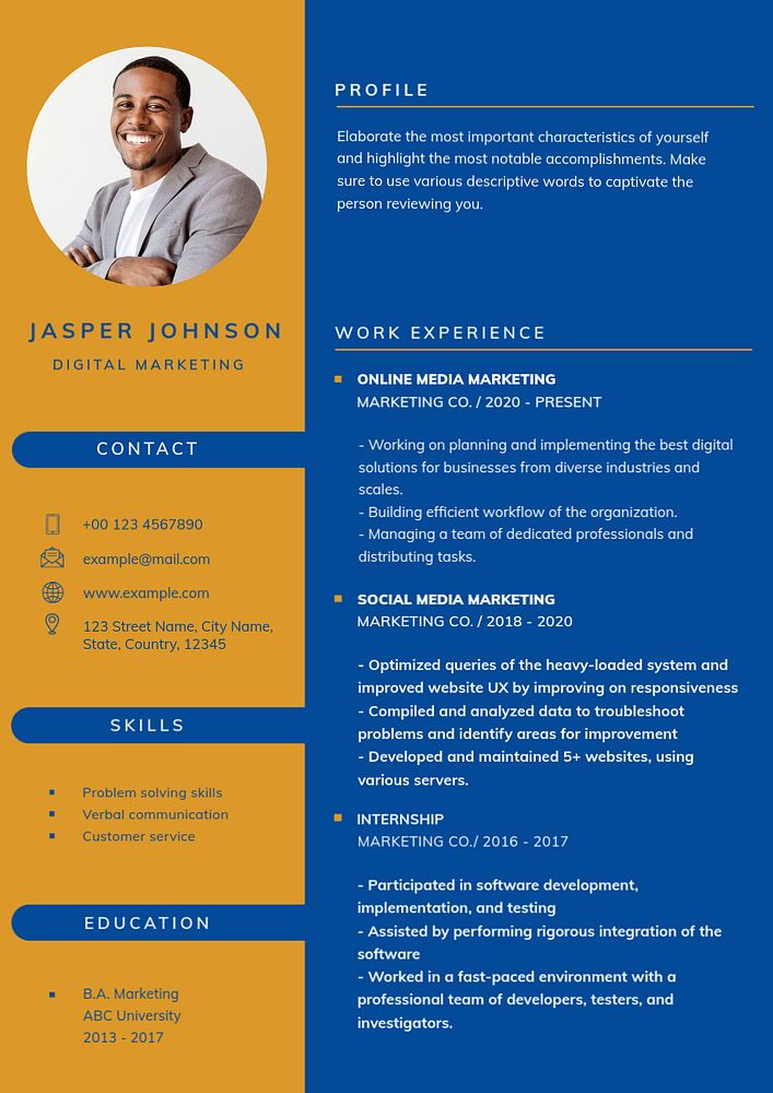 Professional CV editable template for professionals and executive level