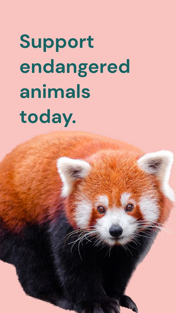 Support wildlife Instagram story template, editable text