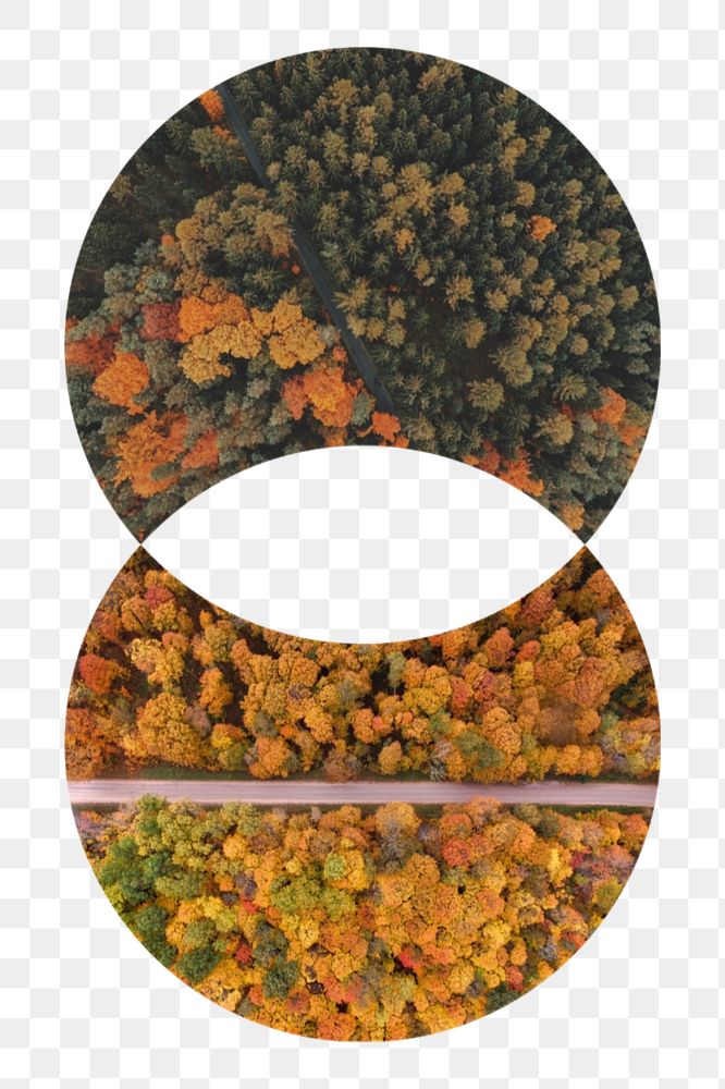 PNG overlapped circle shape mockup element, fall forest badge  transparent background