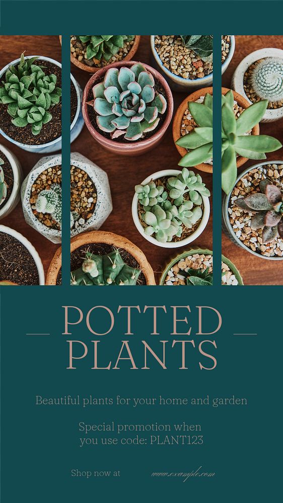 Potted plants social story template, editable text