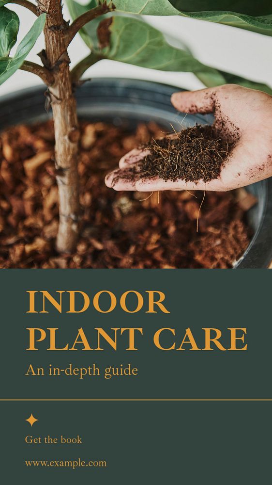 Indoor plant care social story template, editable text