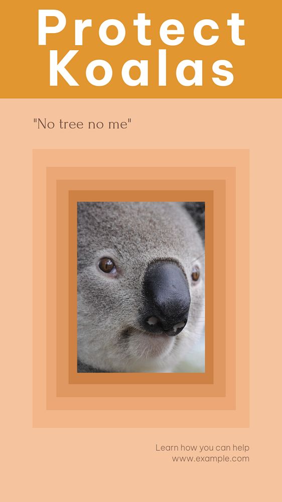 Protect Koalas social story template, editable text