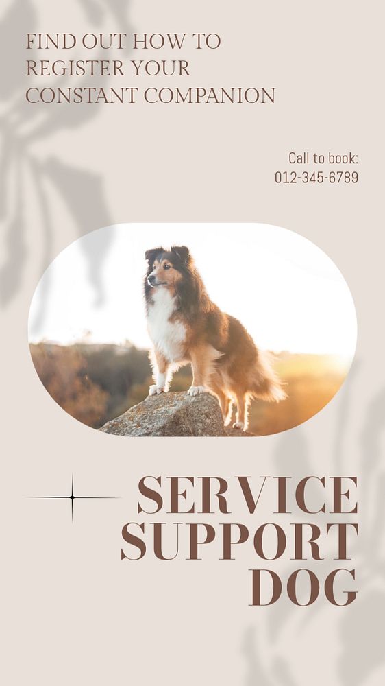 Service support dog social story template, editable text