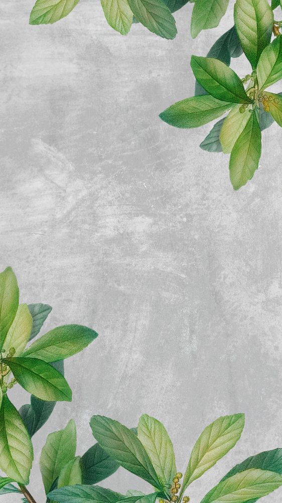 Leaf border gray mobile wallpaper, editable design