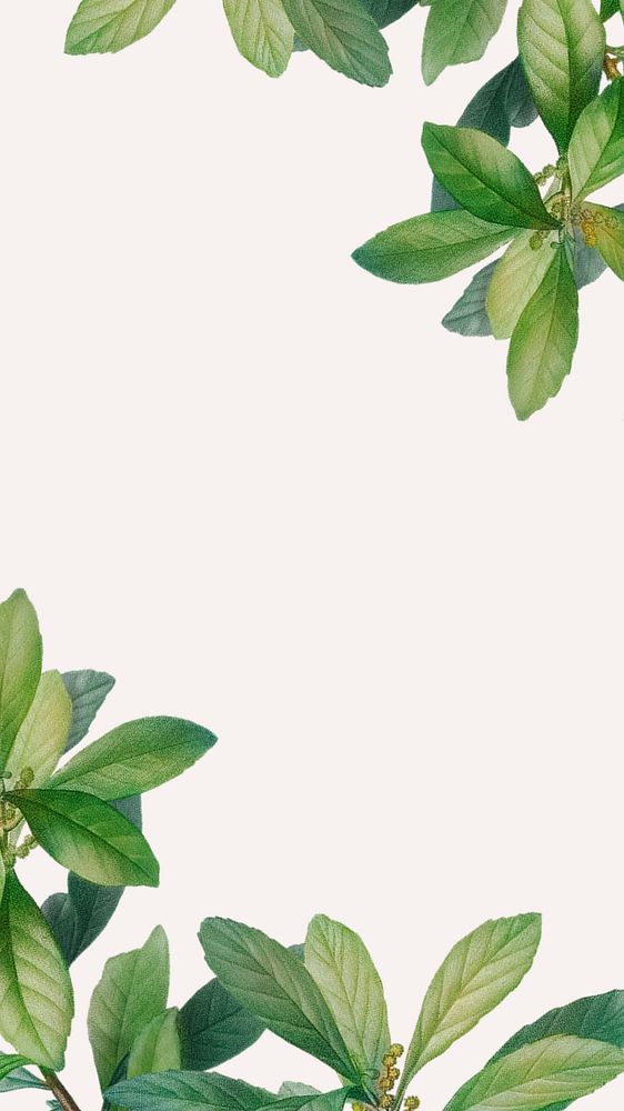 Tropical mobile wallpaper, editable green leaf border design