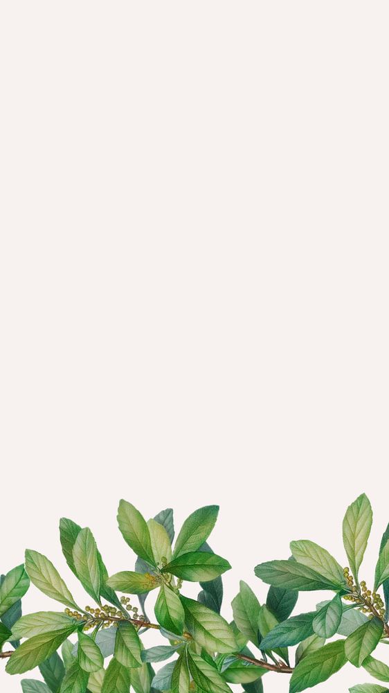 Editable tropical mobile wallpaper, green leaf border design