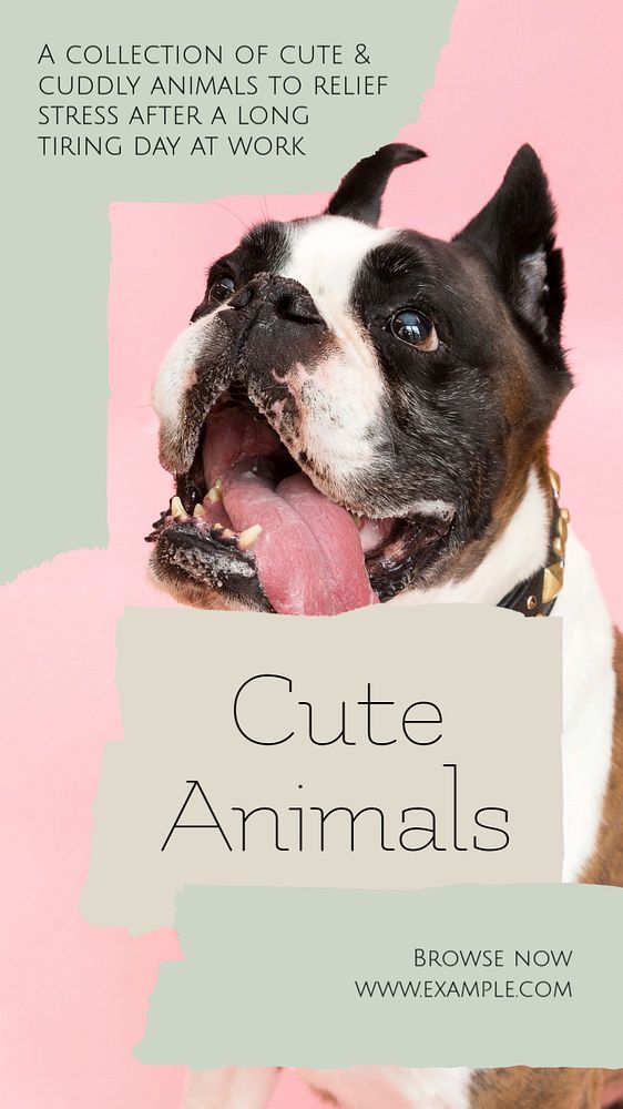 Cute animal social story template, editable text