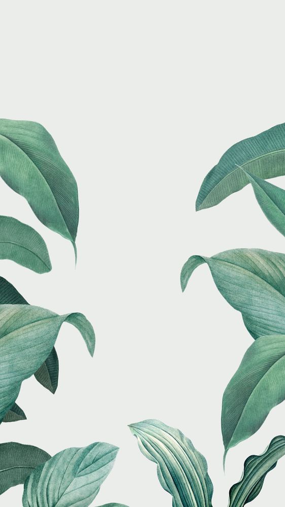 Leaf border off-white mobile wallpaper, editable tropical design